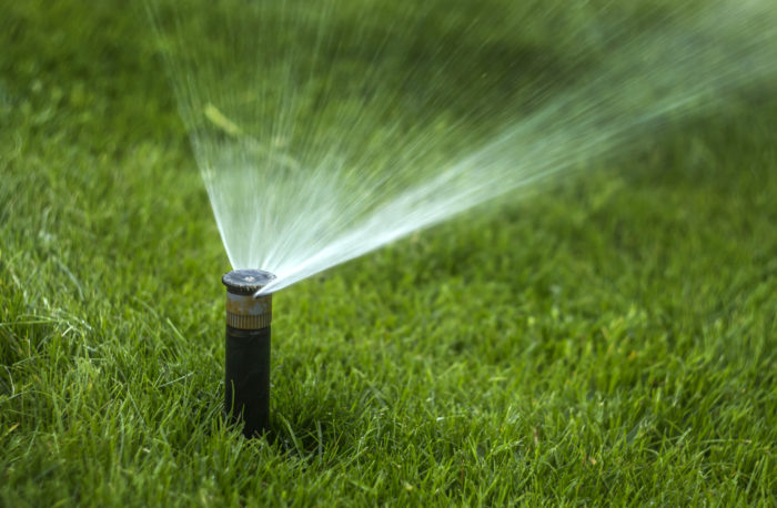 Sprinkler Head spraying Lawn