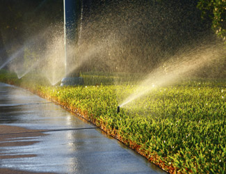 Sprinkler Watering Lawn