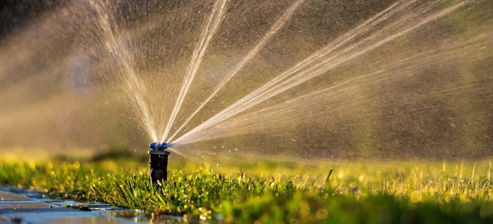 Sprinkler Watering Lawn