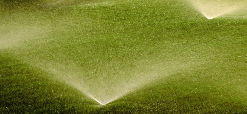 When Should You Start Up Your Sprinkler System? - Reddi Sprinkler Service