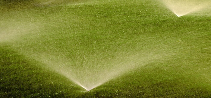 Sprinklers Watering Lawn